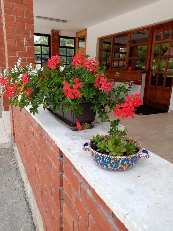 Apartman Dunja I Milos Мокра Гора Екстер'єр фото