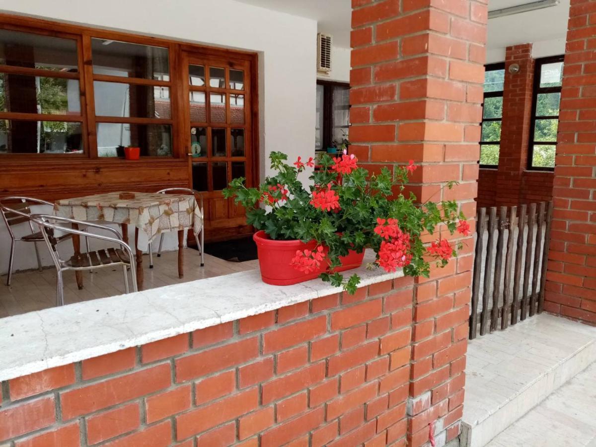 Apartman Dunja I Milos Мокра Гора Екстер'єр фото